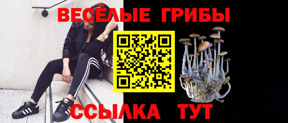 Псилоцибиновые грибы мухоморы  Вход с VPN  Галлюциногенные грибы Psilocybine cubensis  где продают наркотики  Уссурийск 